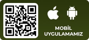 DamaBet Qr code